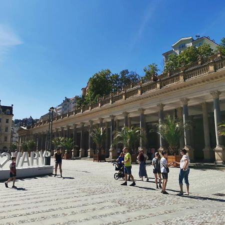 Ubytovani Ester - Utulny Byt V Lazenskem Centru Karlovych Varu Se Zahradkou Apartment Karlovy Vary Luaran gambar