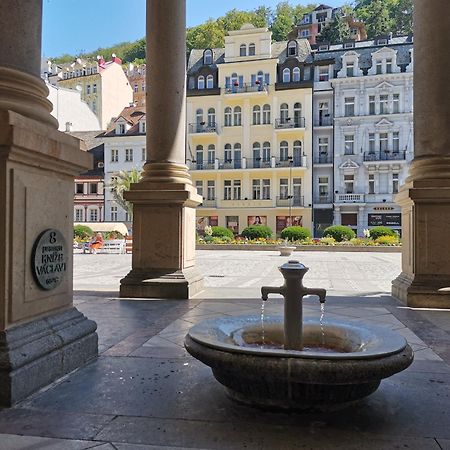 Ubytovani Ester - Utulny Byt V Lazenskem Centru Karlovych Varu Se Zahradkou Apartment Karlovy Vary Luaran gambar