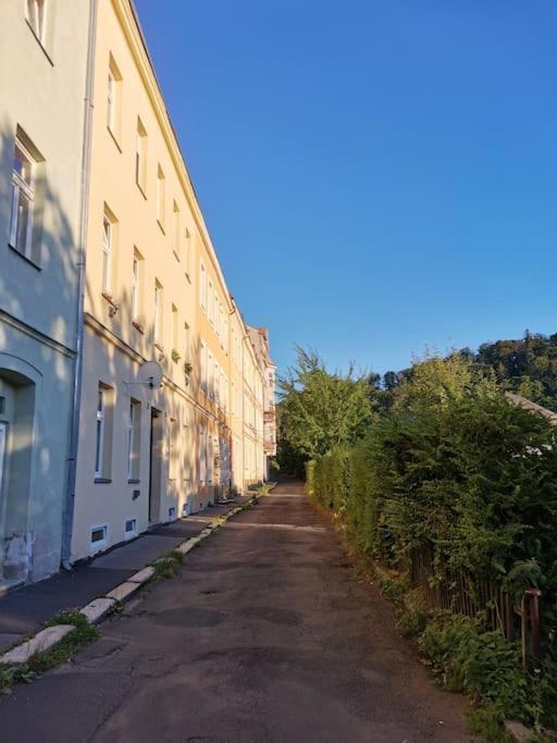 Ubytovani Ester - Utulny Byt V Lazenskem Centru Karlovych Varu Se Zahradkou Apartment Karlovy Vary Luaran gambar