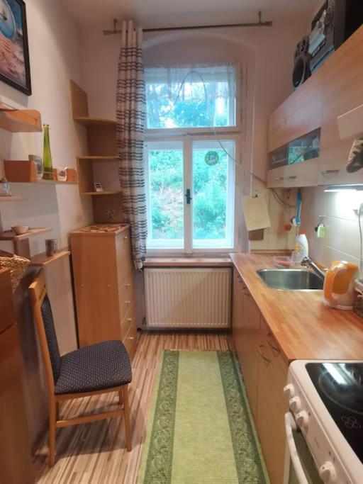 Ubytovani Ester - Utulny Byt V Lazenskem Centru Karlovych Varu Se Zahradkou Apartment Karlovy Vary Luaran gambar
