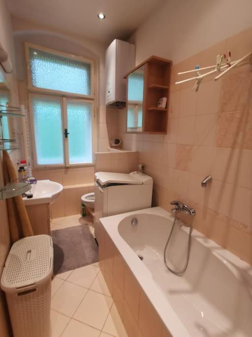 Ubytovani Ester - Utulny Byt V Lazenskem Centru Karlovych Varu Se Zahradkou Apartment Karlovy Vary Luaran gambar