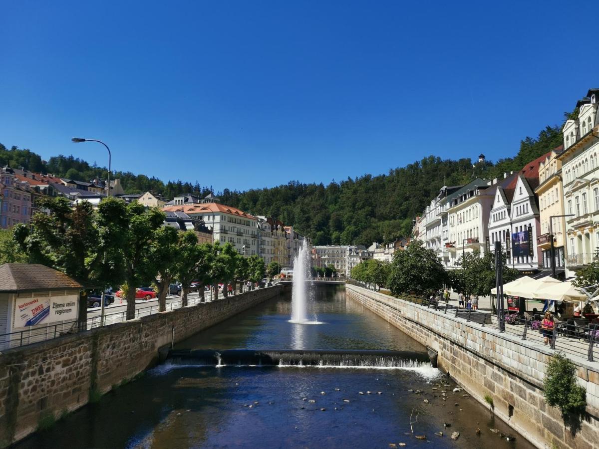 Ubytovani Ester - Utulny Byt V Lazenskem Centru Karlovych Varu Se Zahradkou Apartment Karlovy Vary Luaran gambar